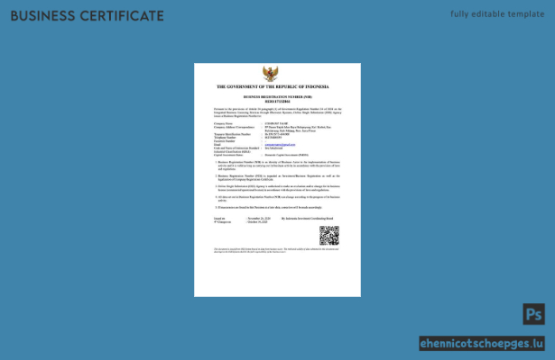 Indonesische Unternehmensregistrierungsnummer – Beispielvorschau (Word und PDF)